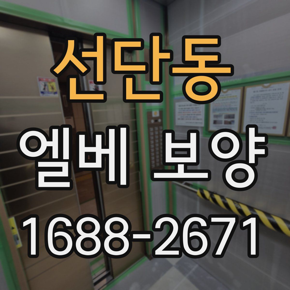 선단동 엘베 보양