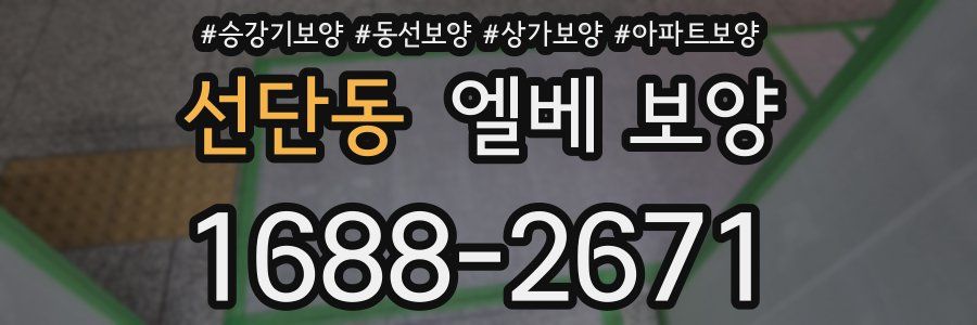 선단동 엘베 보양