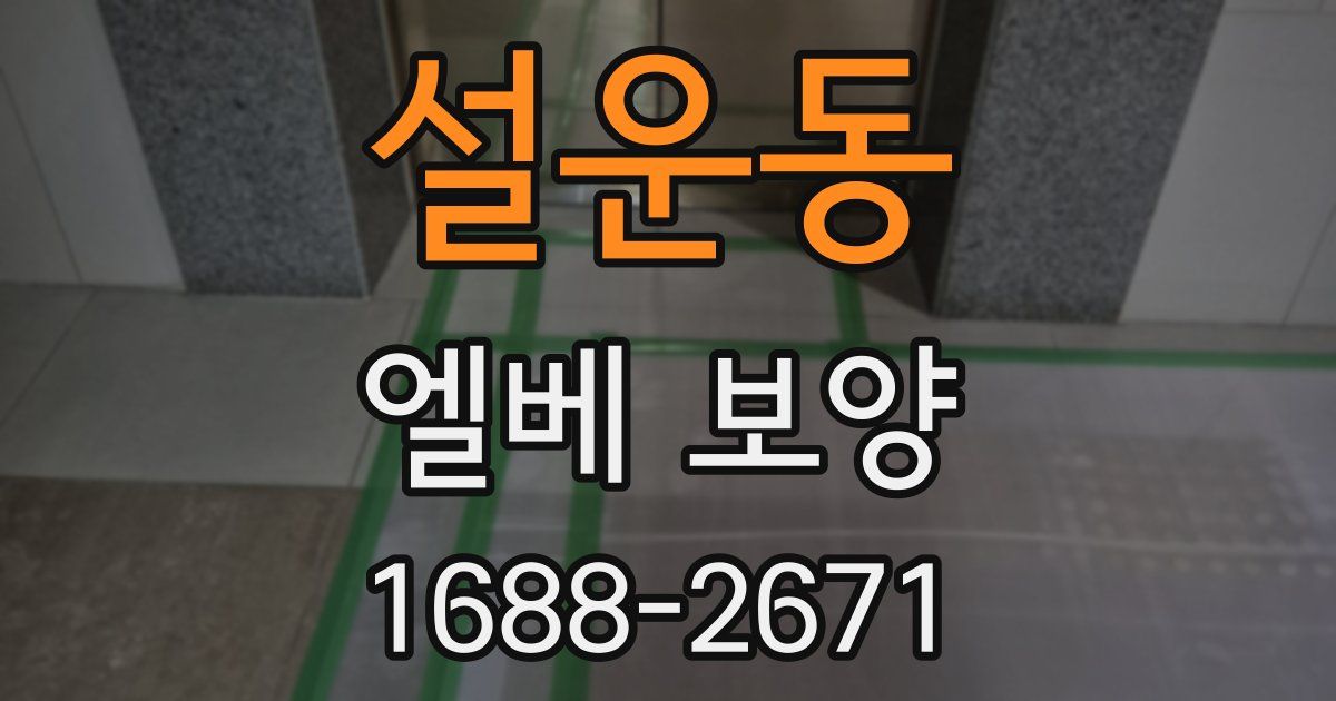 설운동 엘베 보양