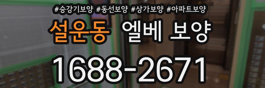 설운동 엘베 보양