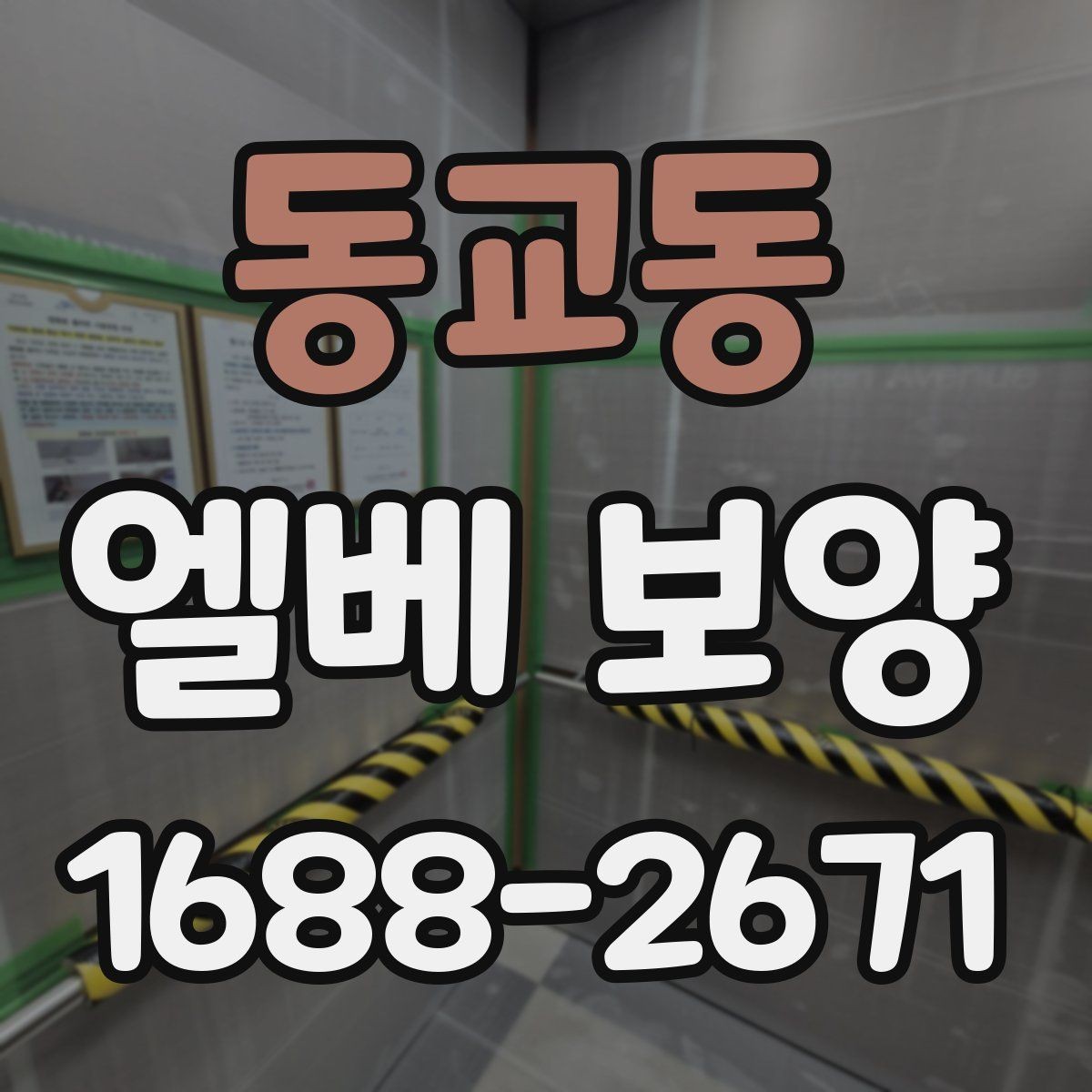 동교동 엘베 보양 작업 전후 사진을 꼭 남겨야 하는 순간