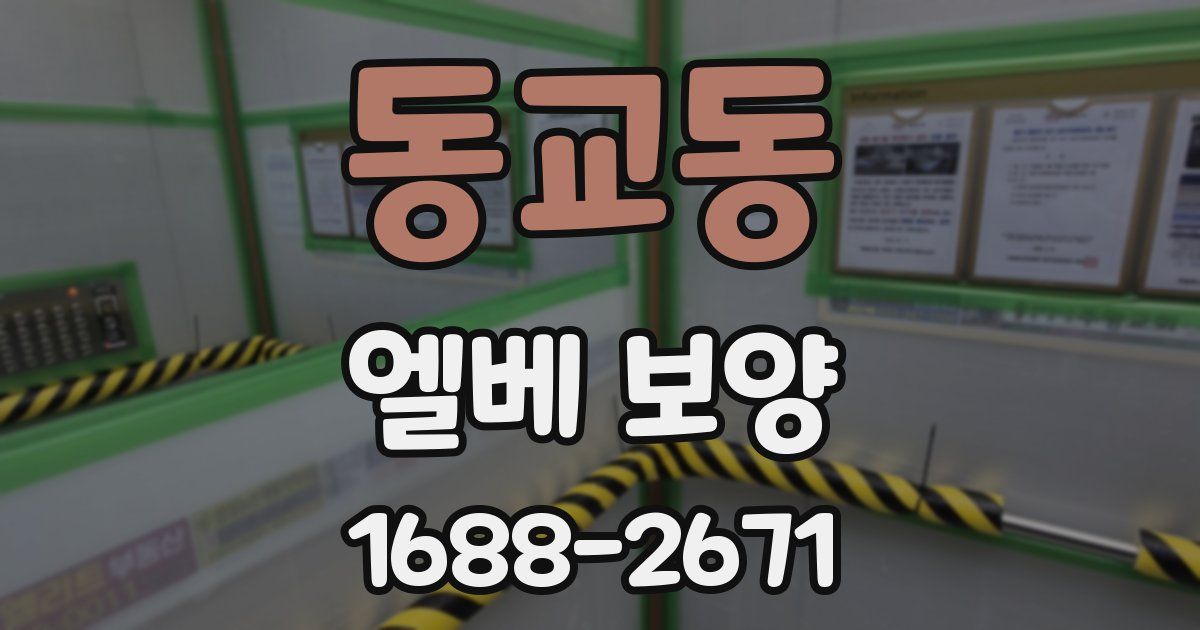 동교동 엘베 보양