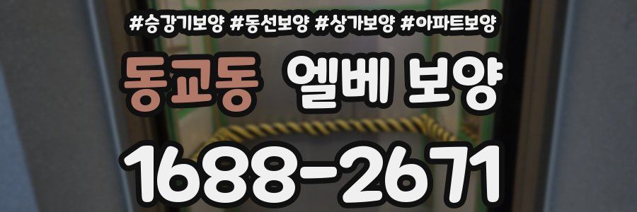 동교동 엘베 보양