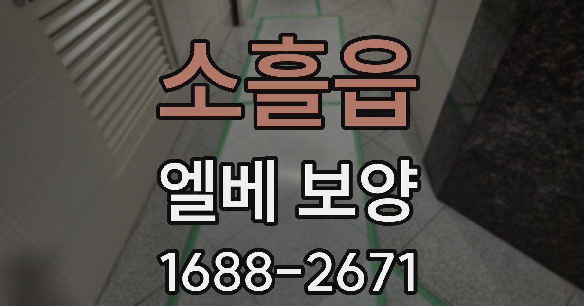 소흘읍 엘베 보양