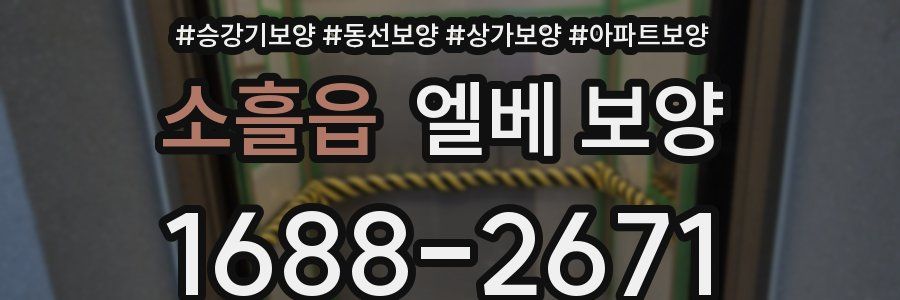 소흘읍 엘베 보양
