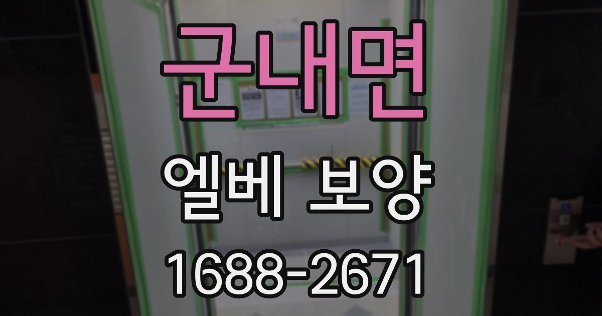 군내면 엘베 보양