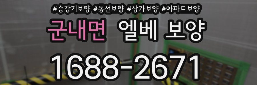 군내면 엘베 보양