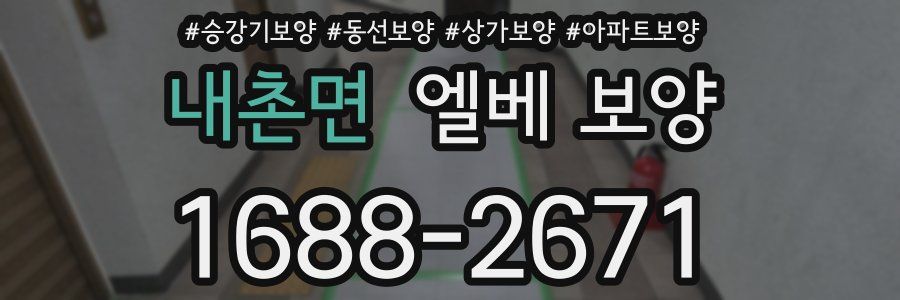 내촌면 엘베 보양