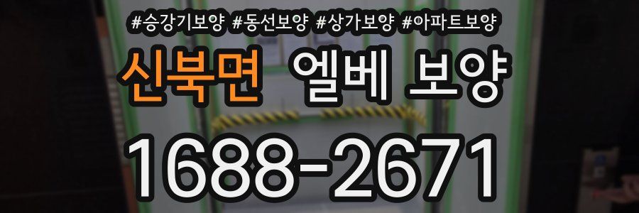 신북면 엘베 보양