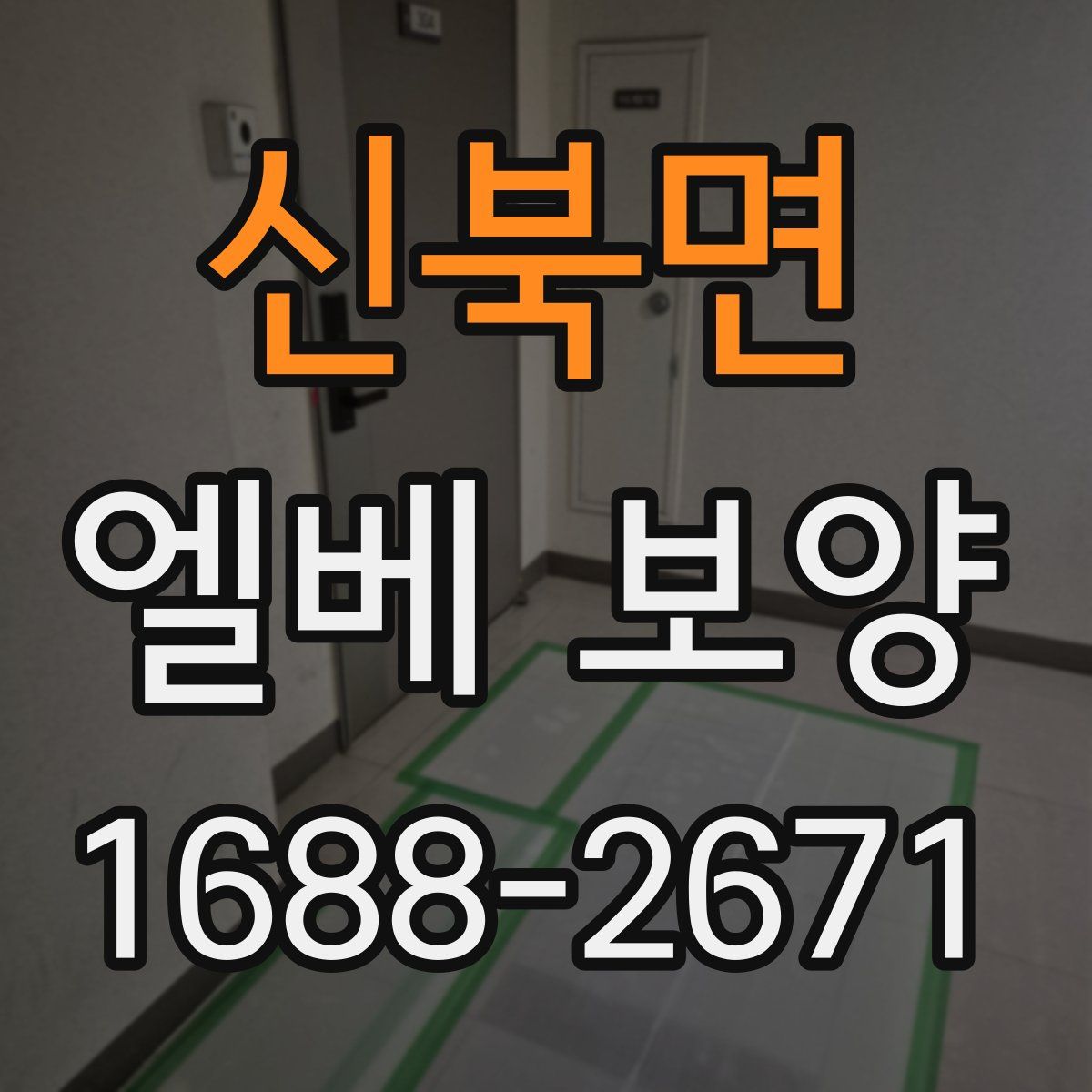 신북면 엘베 보양