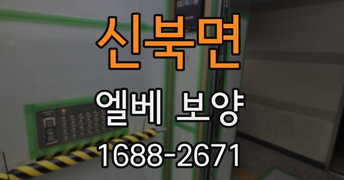 신북면 엘베 보양