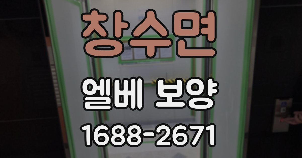 창수면 엘베 보양