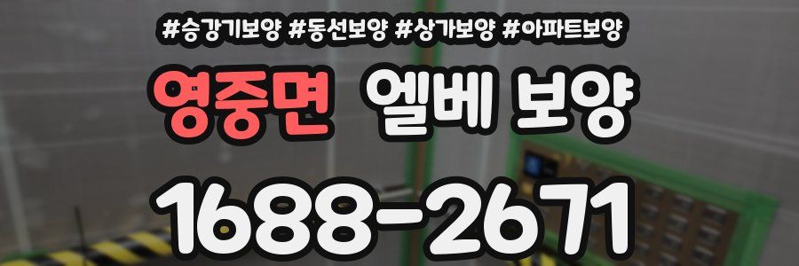 영중면 엘베 보양