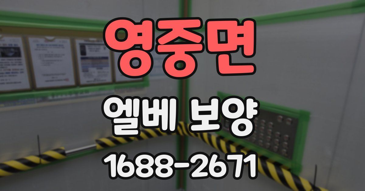 영중면 엘베 보양