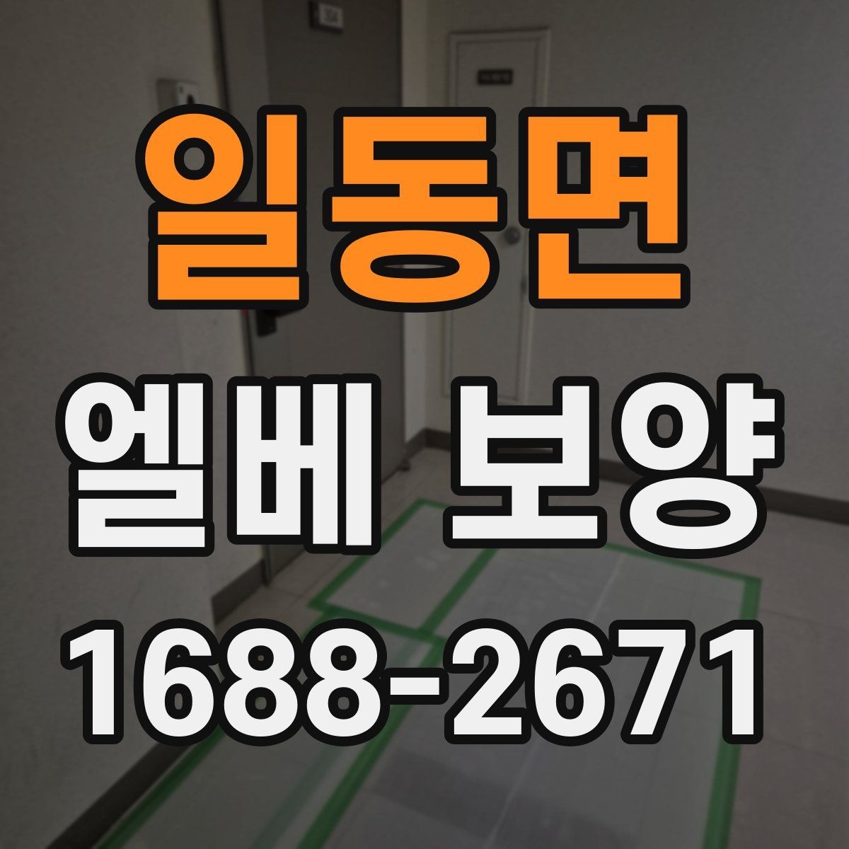 일동면 엘베 보양 공사 현장별 먼저 막을 손상 구간