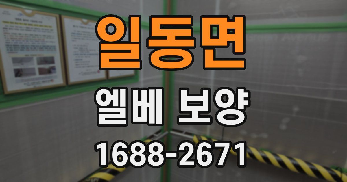 일동면 엘베 보양