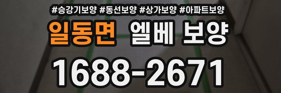 일동면 엘베 보양