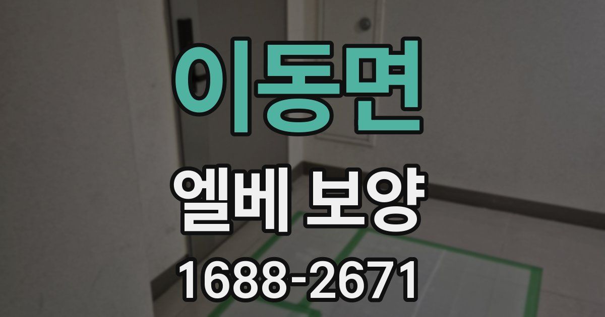 이동면 엘베 보양