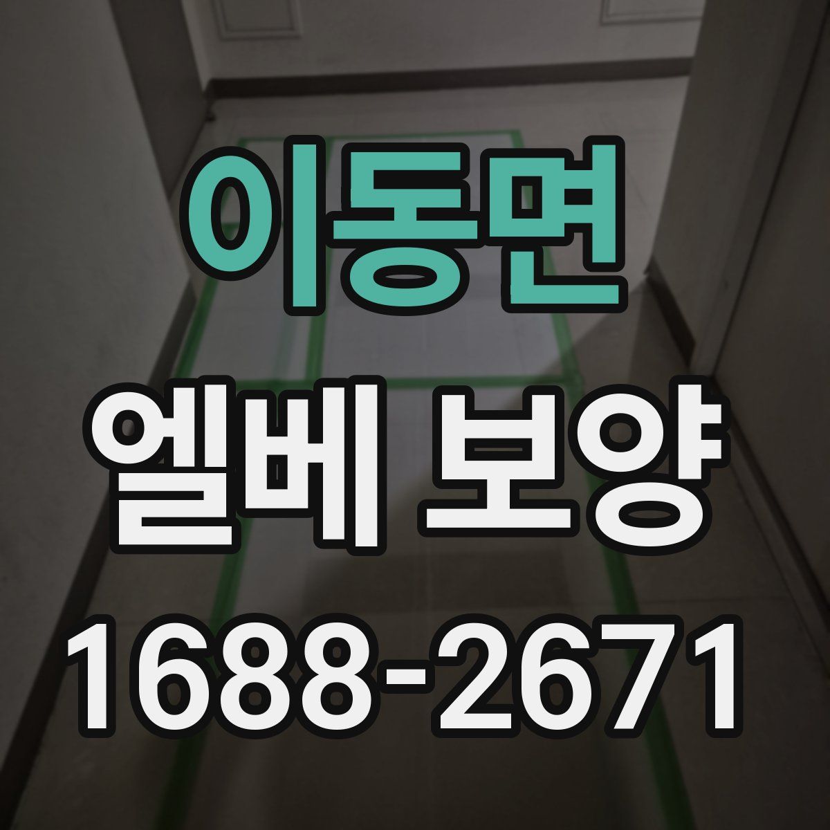 이동면 엘베 보양