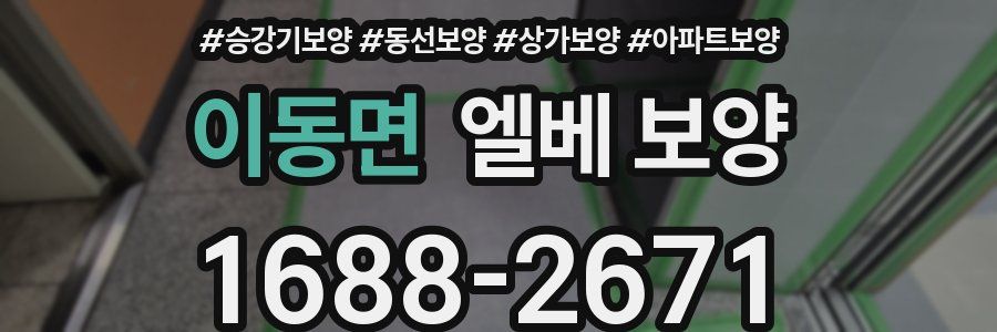이동면 엘베 보양