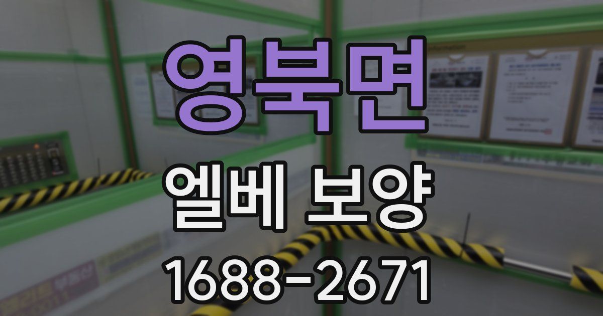 영북면 엘베 보양