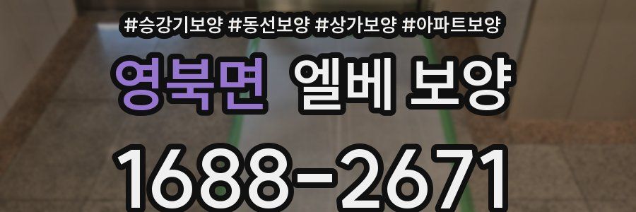 영북면 엘베 보양
