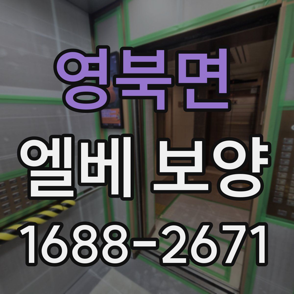 영북면 엘베 보양