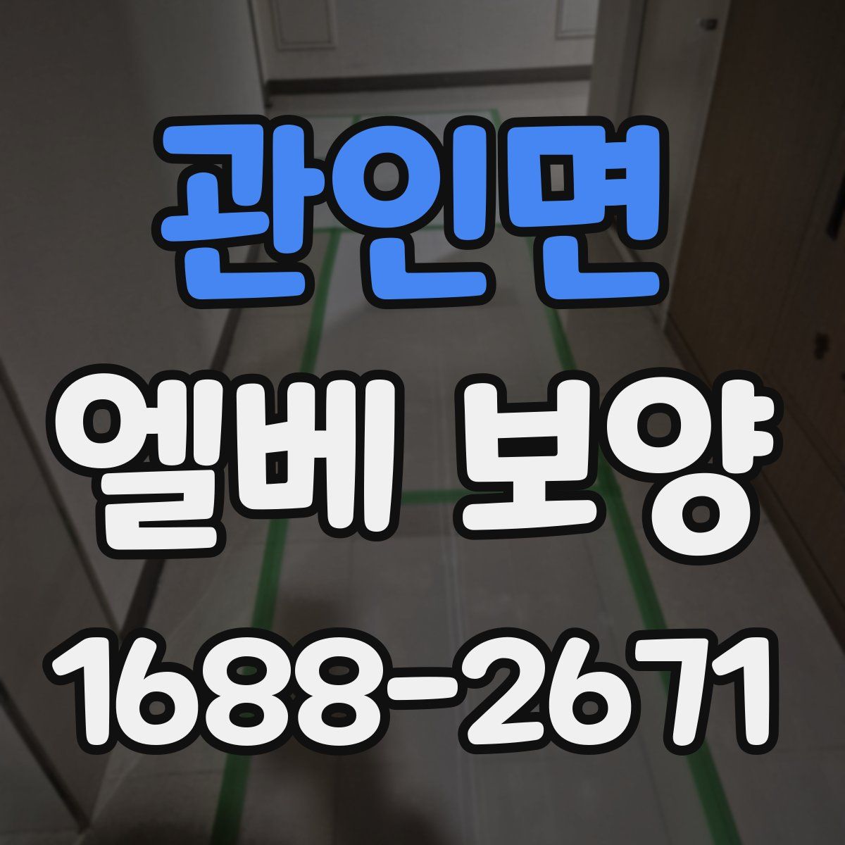 관인면 엘베 보양