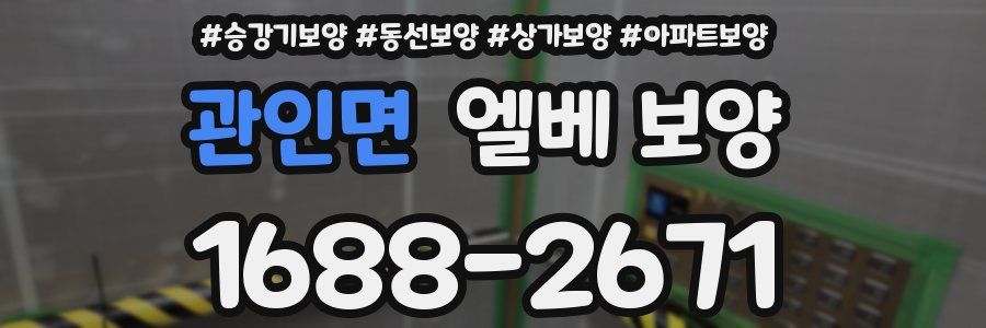 관인면 엘베 보양
