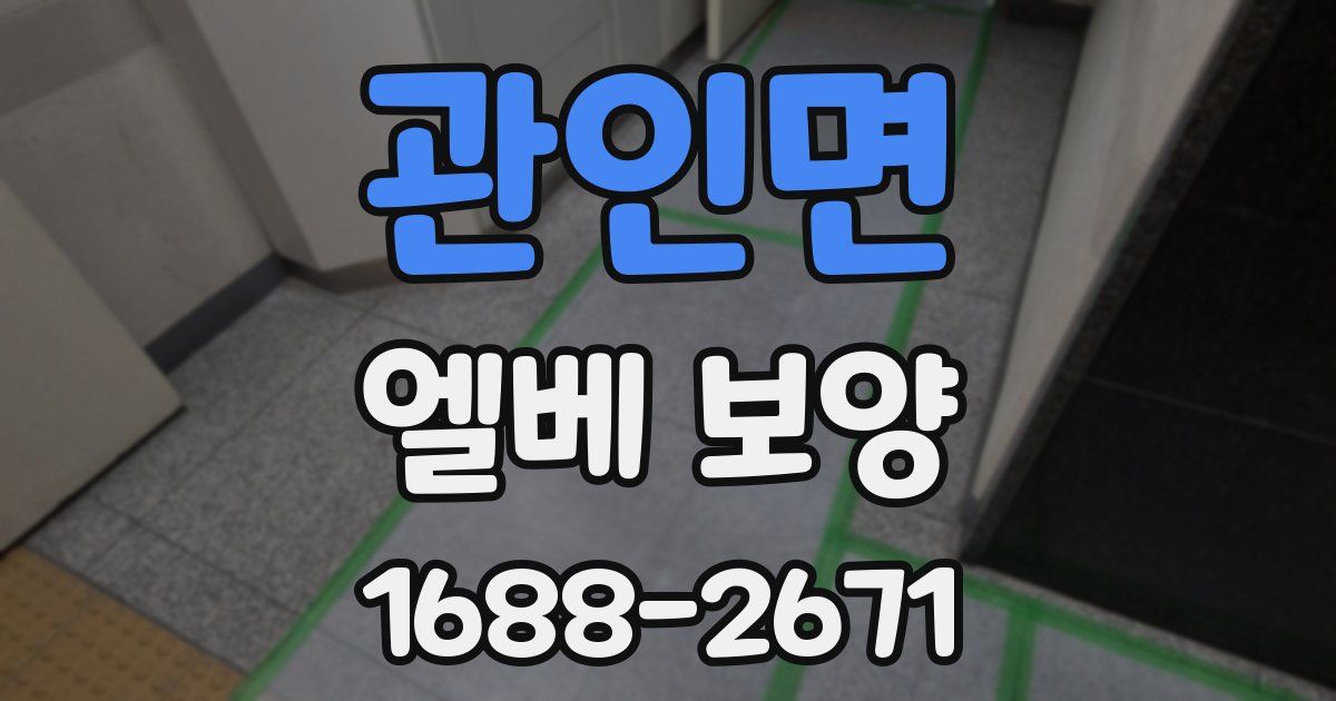 관인면 엘베 보양