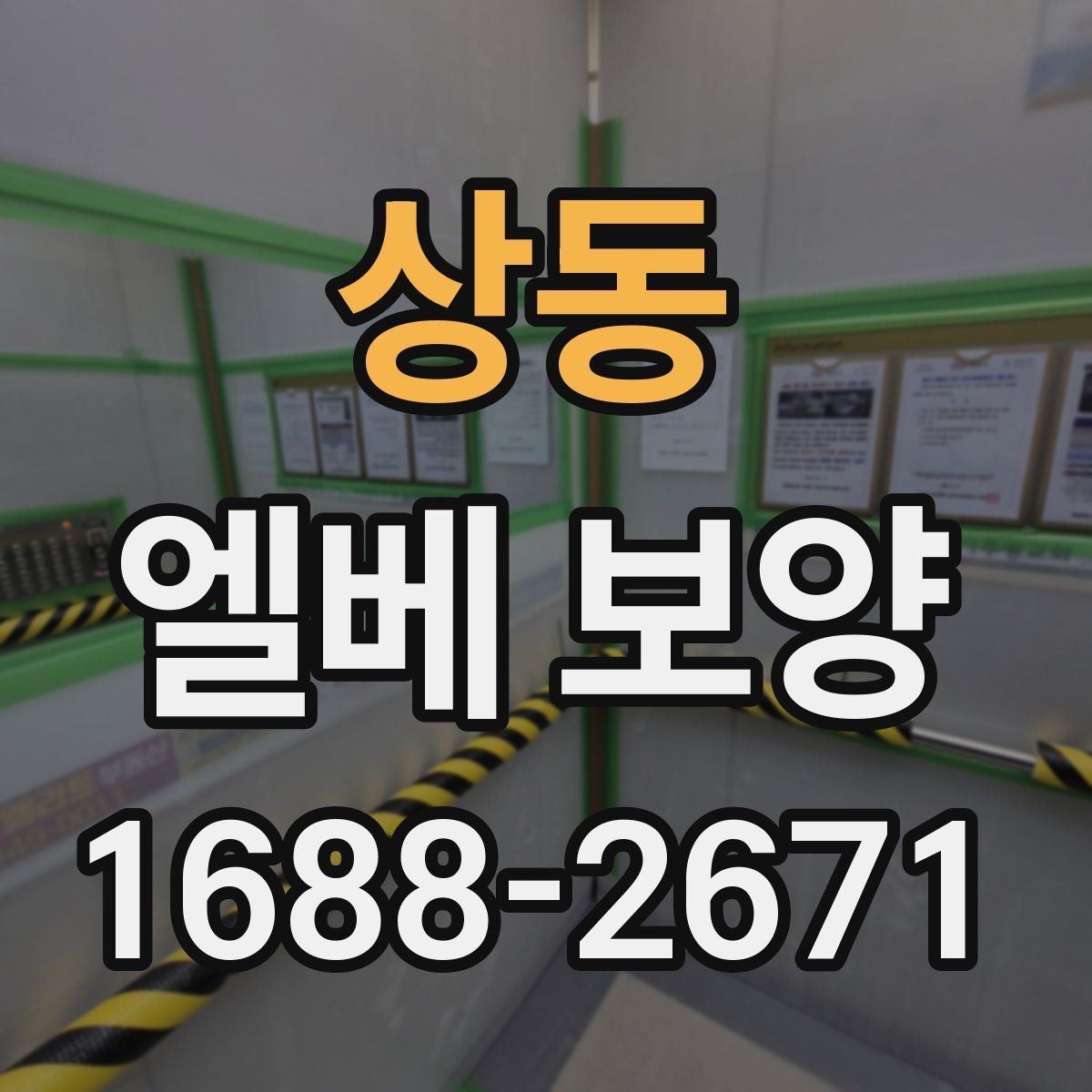 상동 엘베 보양