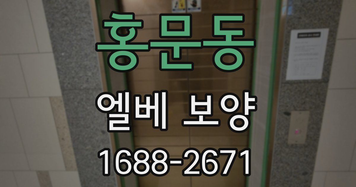 홍문동 엘베 보양
