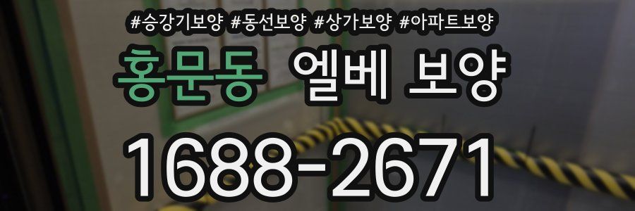 홍문동 엘베 보양