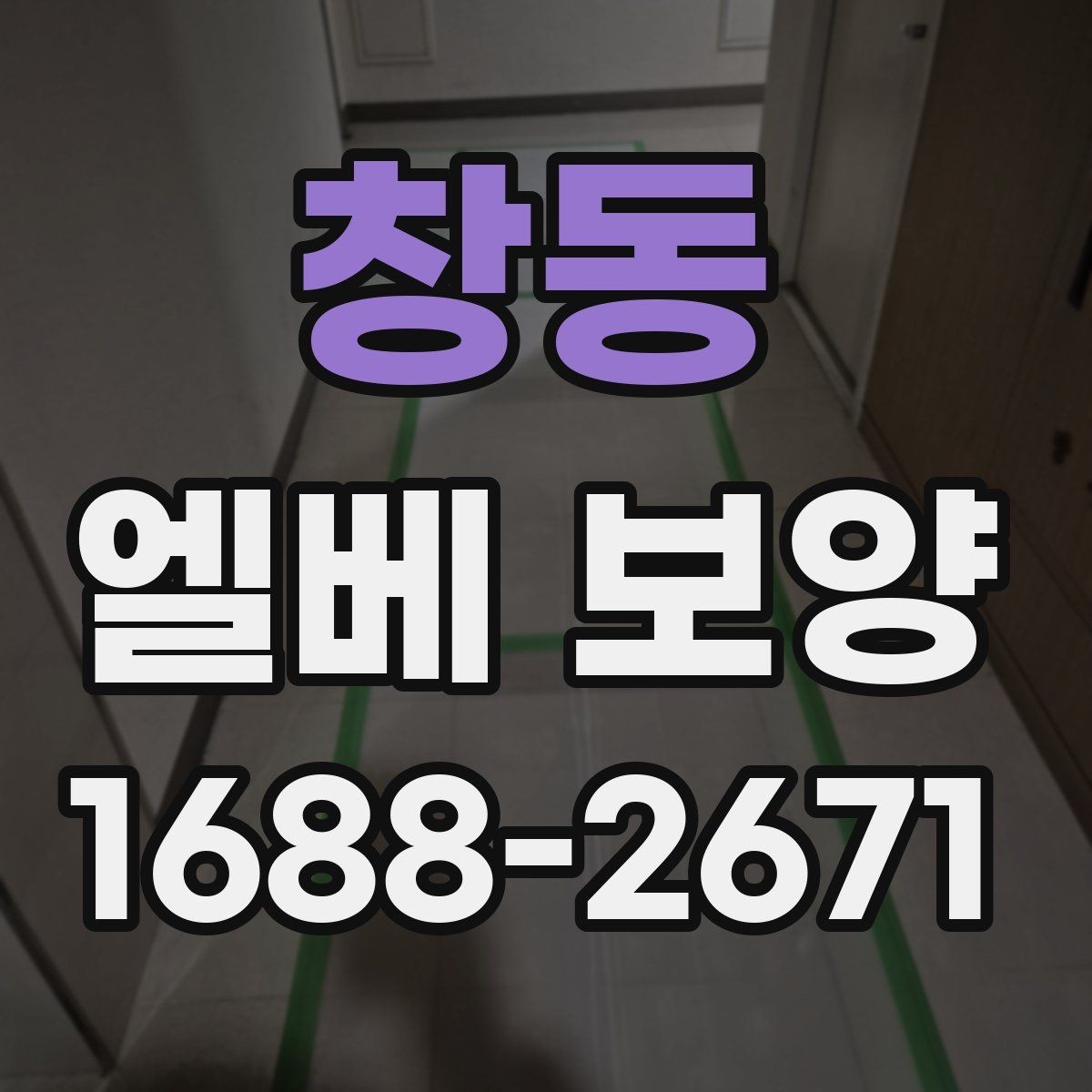 창동 엘베 보양 보행 동선이 복잡한 현장에서 먼저 볼 점