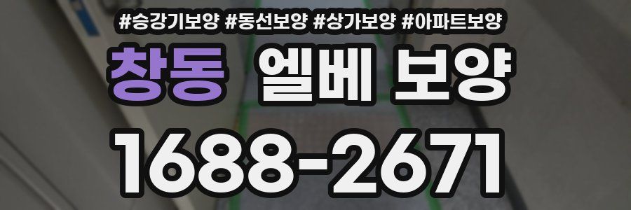 창동 엘베 보양