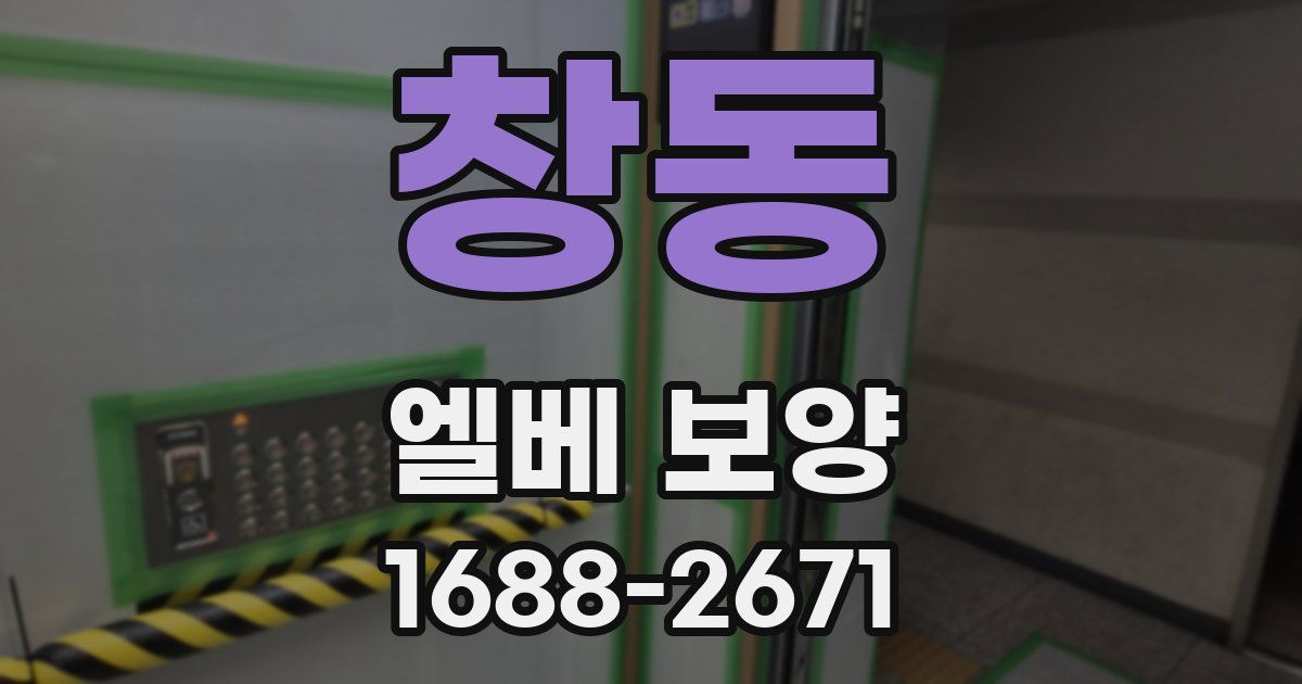 창동 엘베 보양