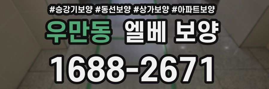우만동 엘베 보양