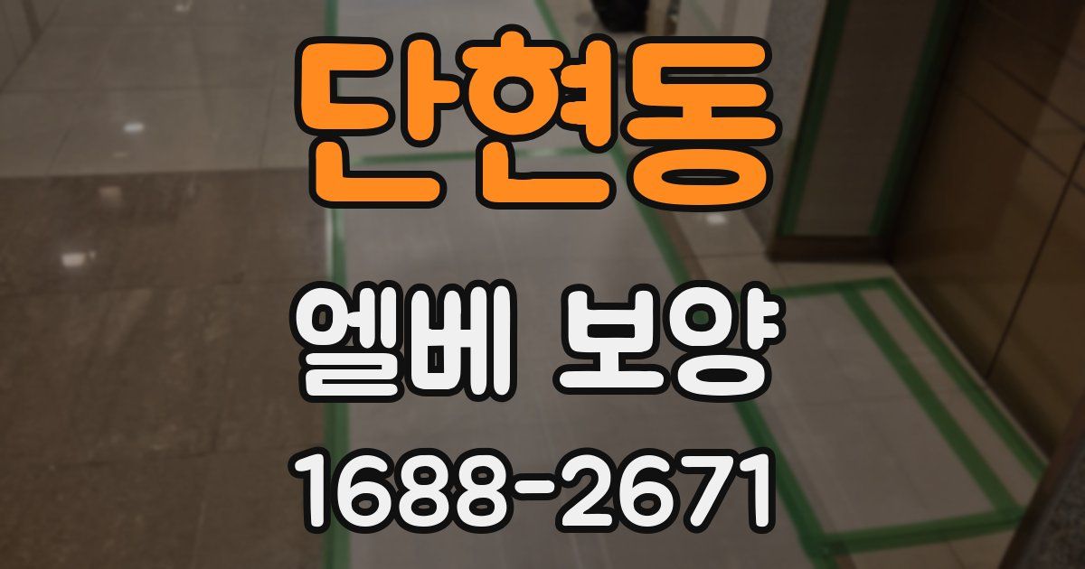 단현동 엘베 보양