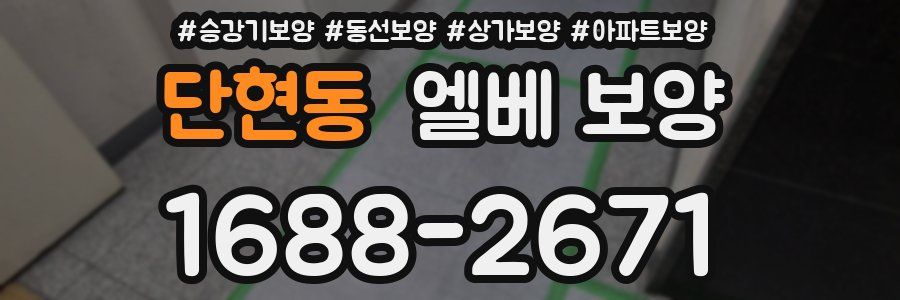 단현동 엘베 보양