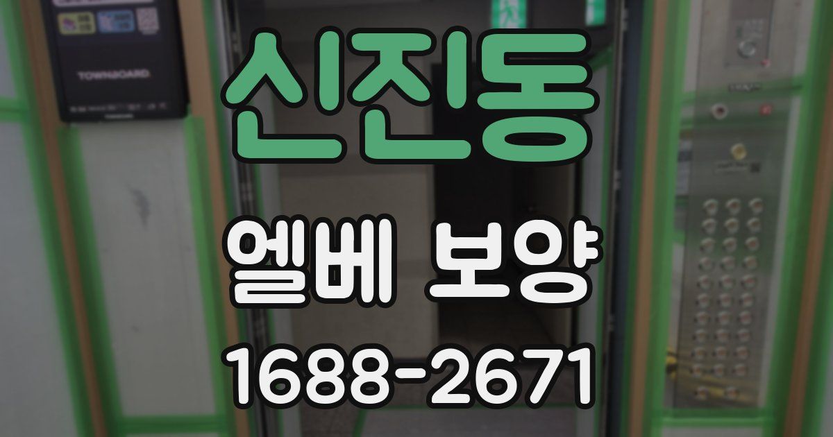 신진동 엘베 보양