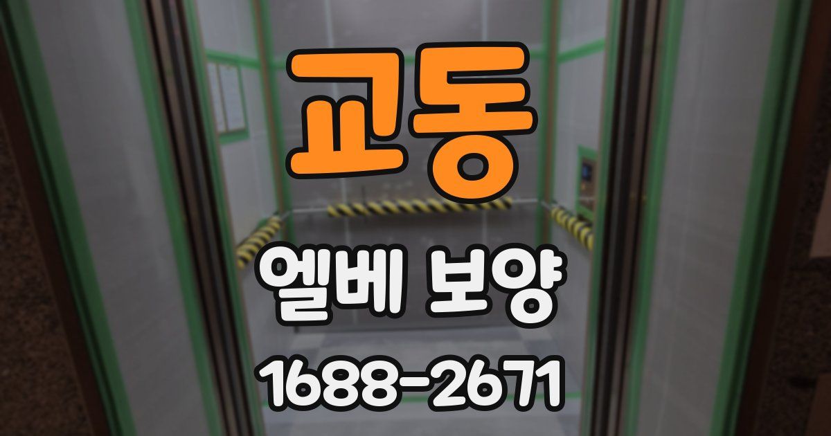 교동 엘베 보양
