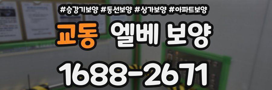 교동 엘베 보양