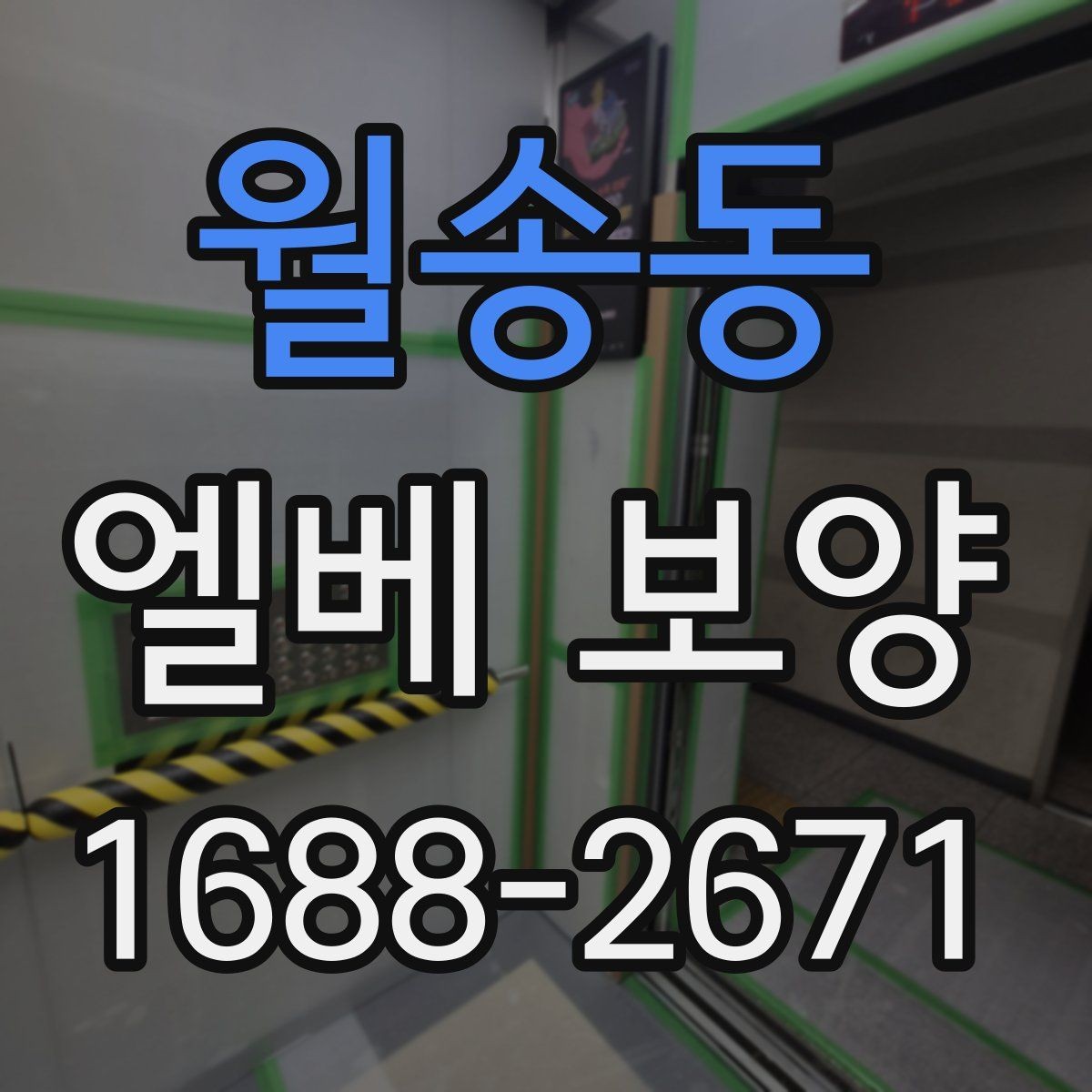 월송동 엘베 보양 자재별 장단점과 적용 현장 정리