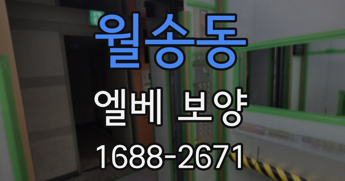 월송동 엘베 보양