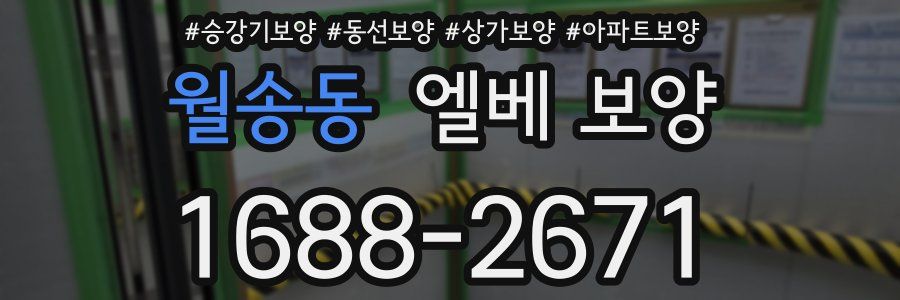 월송동 엘베 보양