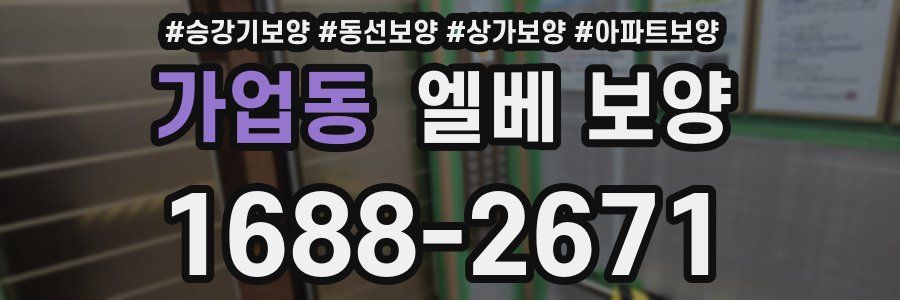 가업동 엘베 보양
