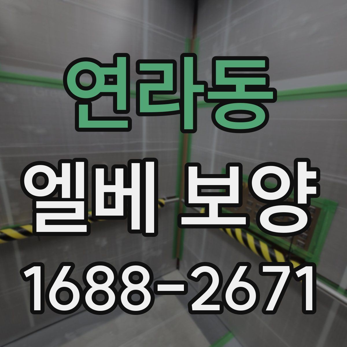 연라동 엘베 보양 현장마다 달라지는 보호 범위와 순서