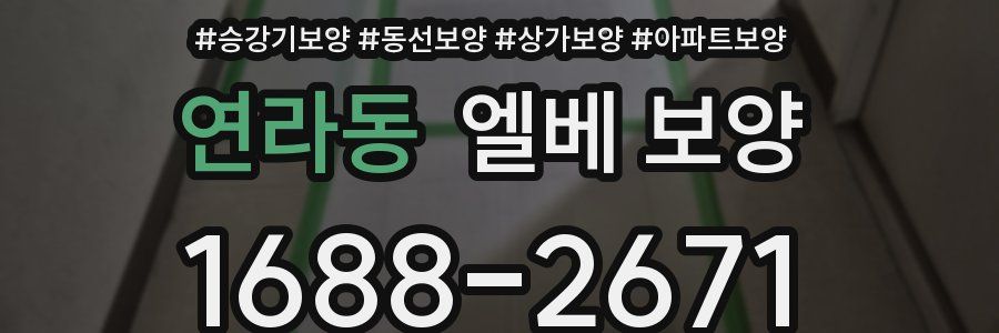 연라동 엘베 보양