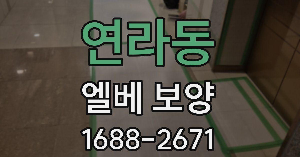 연라동 엘베 보양