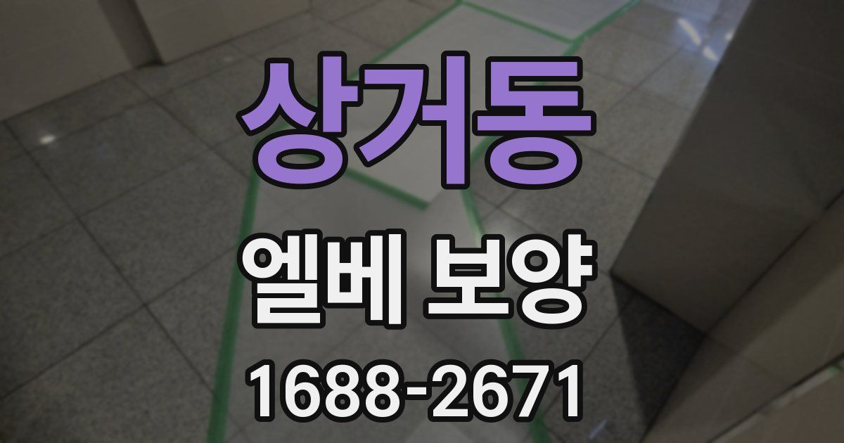 상거동 엘베 보양